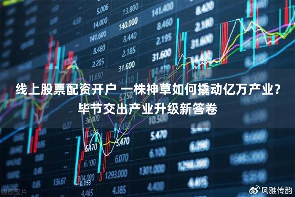 线上股票配资开户 一株神草如何撬动亿万产业？毕节交出产业升级新答卷